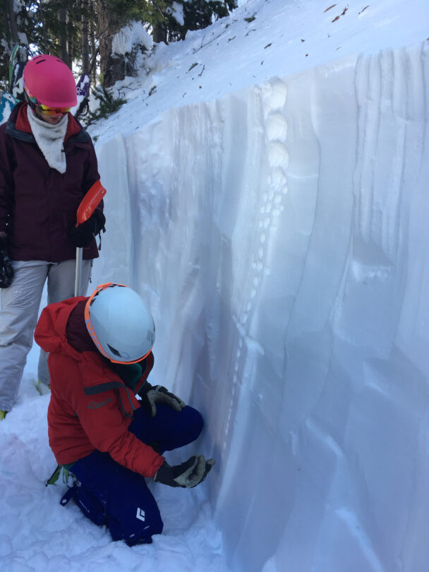 AAI Hybrid Avalanche Course Cottonwood Canyons