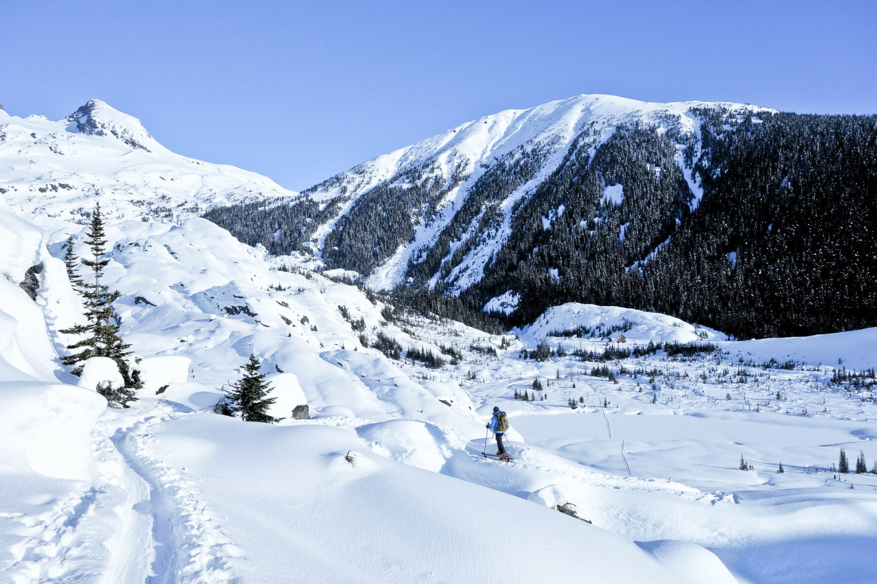 Burnie Glacier Chalet Backcountry Skiing