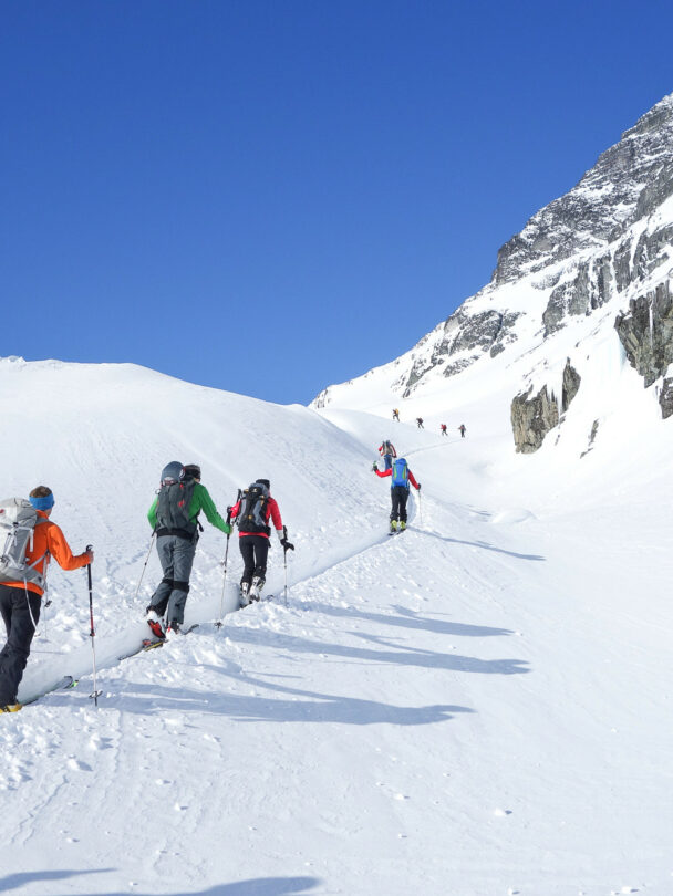 Burnie Glacier Chalet Backcountry Skiing