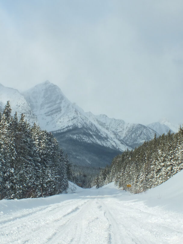 Icefields Parkway backcountry skiing