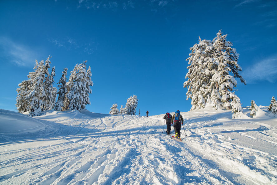 Mount Baker Ski Mountaineering