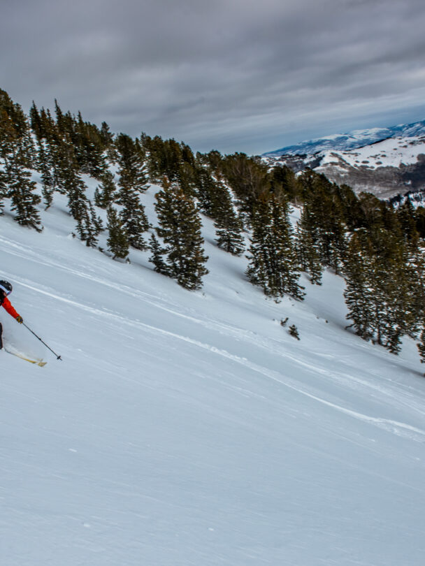 Guided backcountry skiing, Mt. Superior