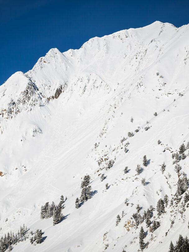 Guided backcountry skiing, Mt. Superior