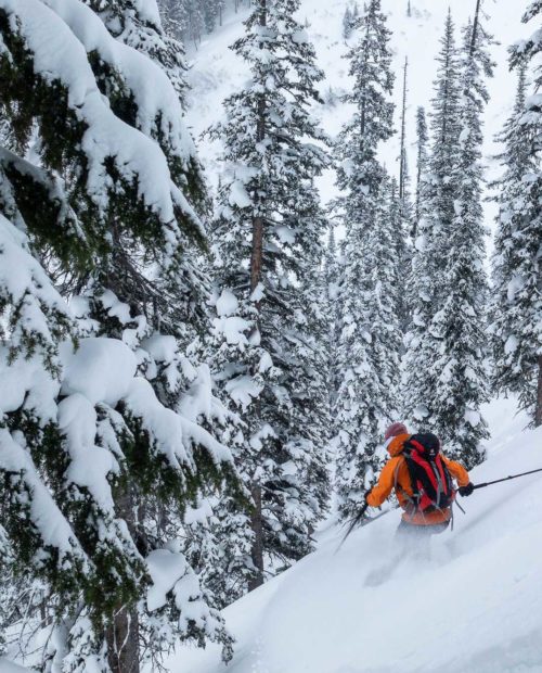 Backcountry Skiing At Selkirk Lodge, Bc 