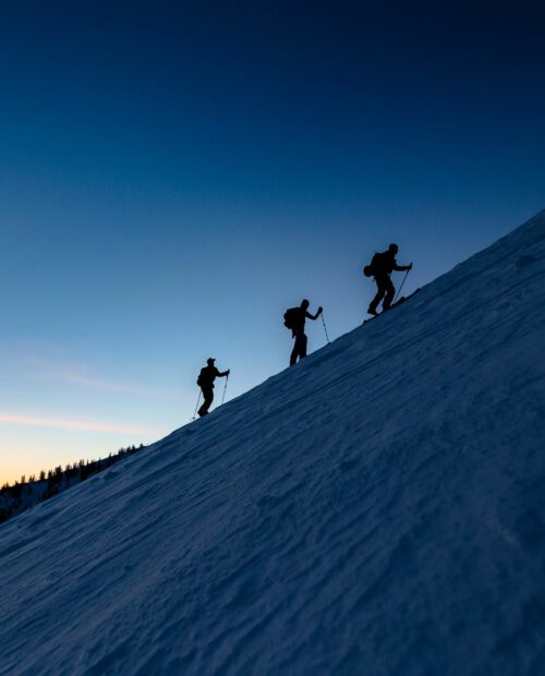 Guided backcountry skiing, Mt. Superior