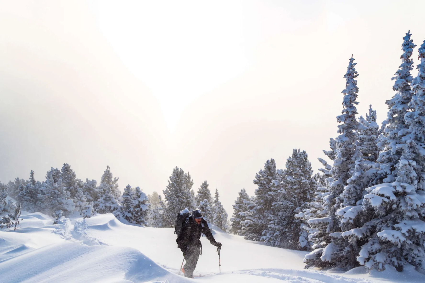 Hiking up Wasatch mountains