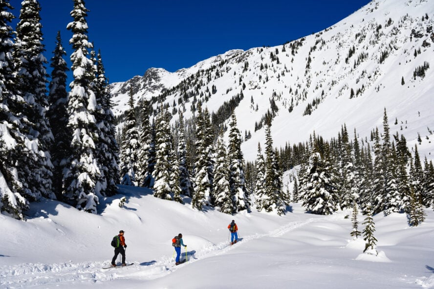 A group of backcountry skiers skin through fresh snow in British Columbia. 