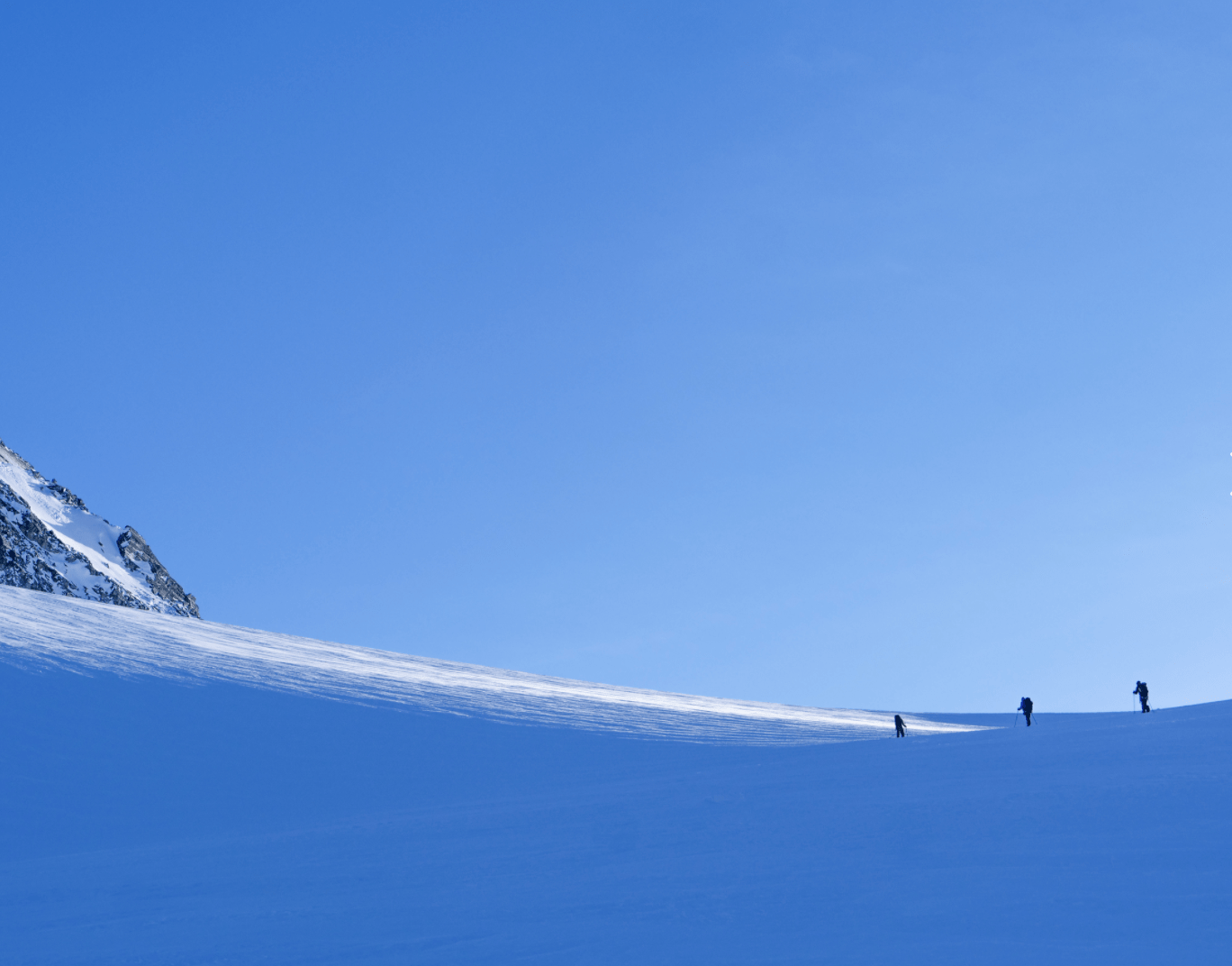 Untracked powder and three skiers.