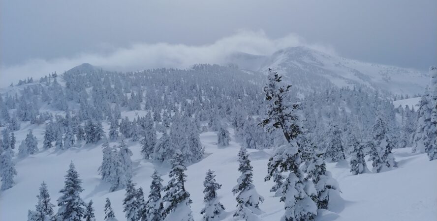 hakkoda-backcountry-skiing