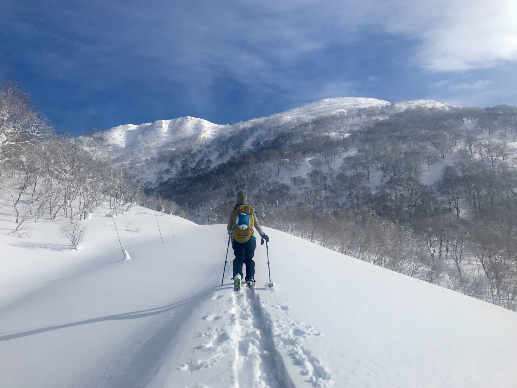 Niseko Backcountry Skiing