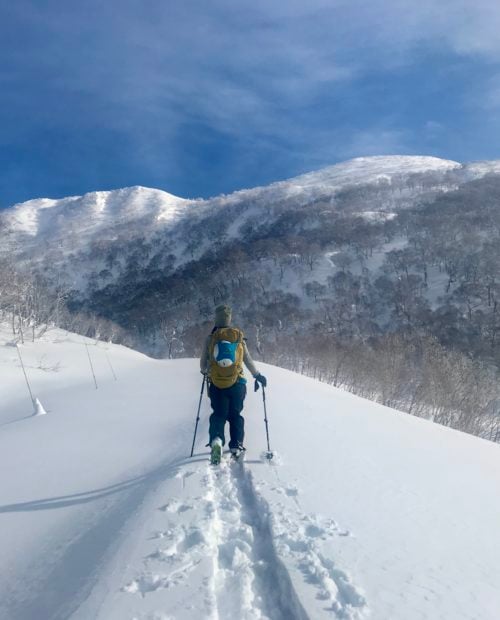 Backcountry Skiing in Niseko, Japan