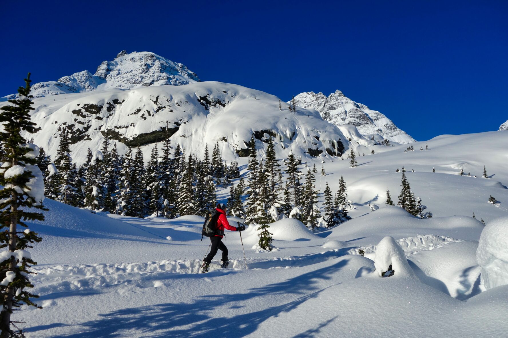 The Best Remote Backcountry Ski Lodges In British Columbia