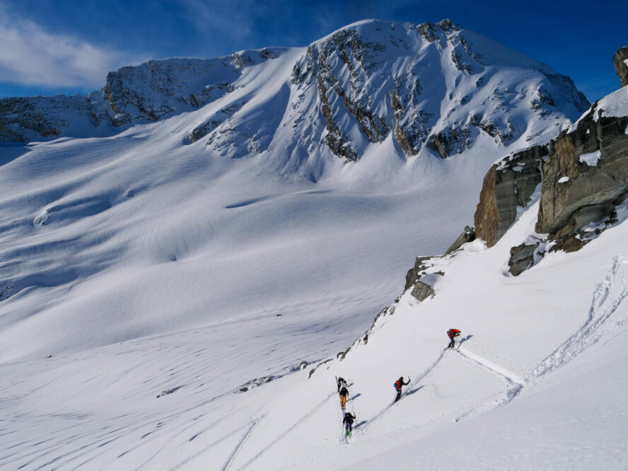 A group of backcountry skiers are skinning up and are dwarfed by large snow-covered mountains around Revelstoke and Golden.