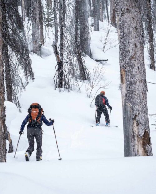 Backcountry Skiing in the Canadian Rockies