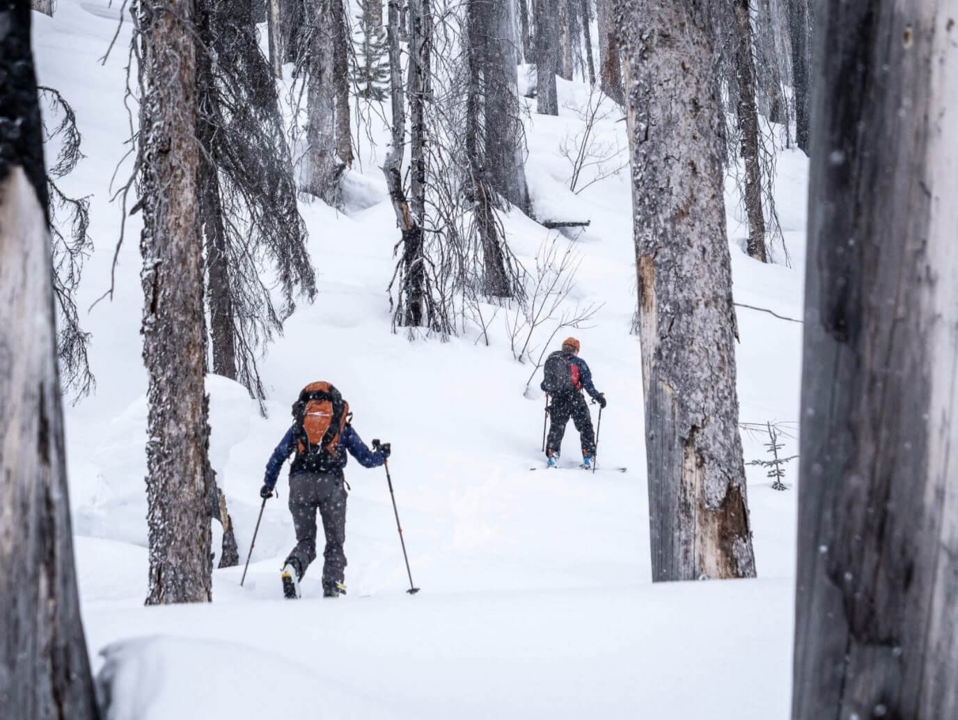 Backcountry Skiing in the Canadian Rockies