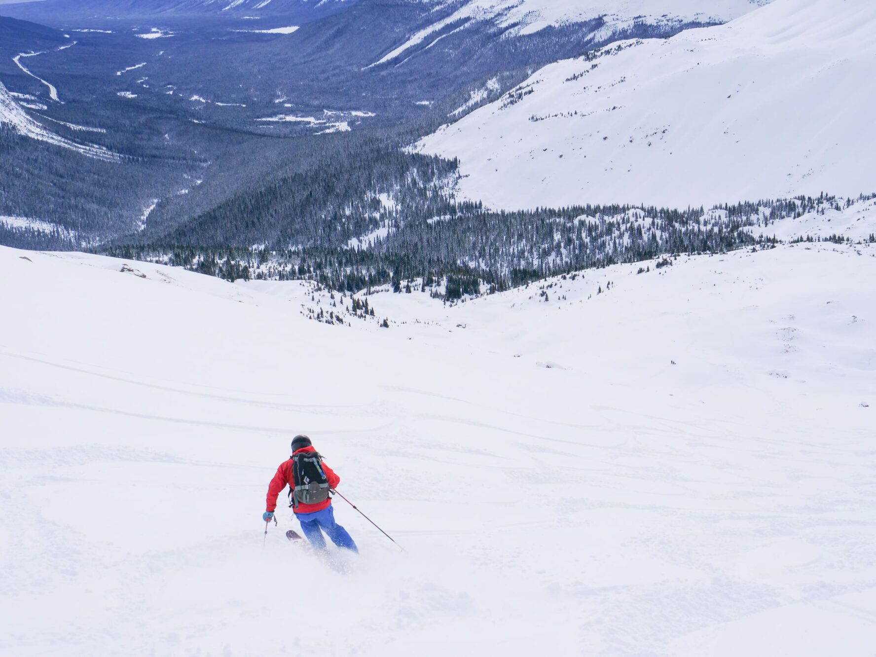 A backcountry skier going down a gentle bowl slope near Golden and Revelstoke overlooking a valley with many trees.