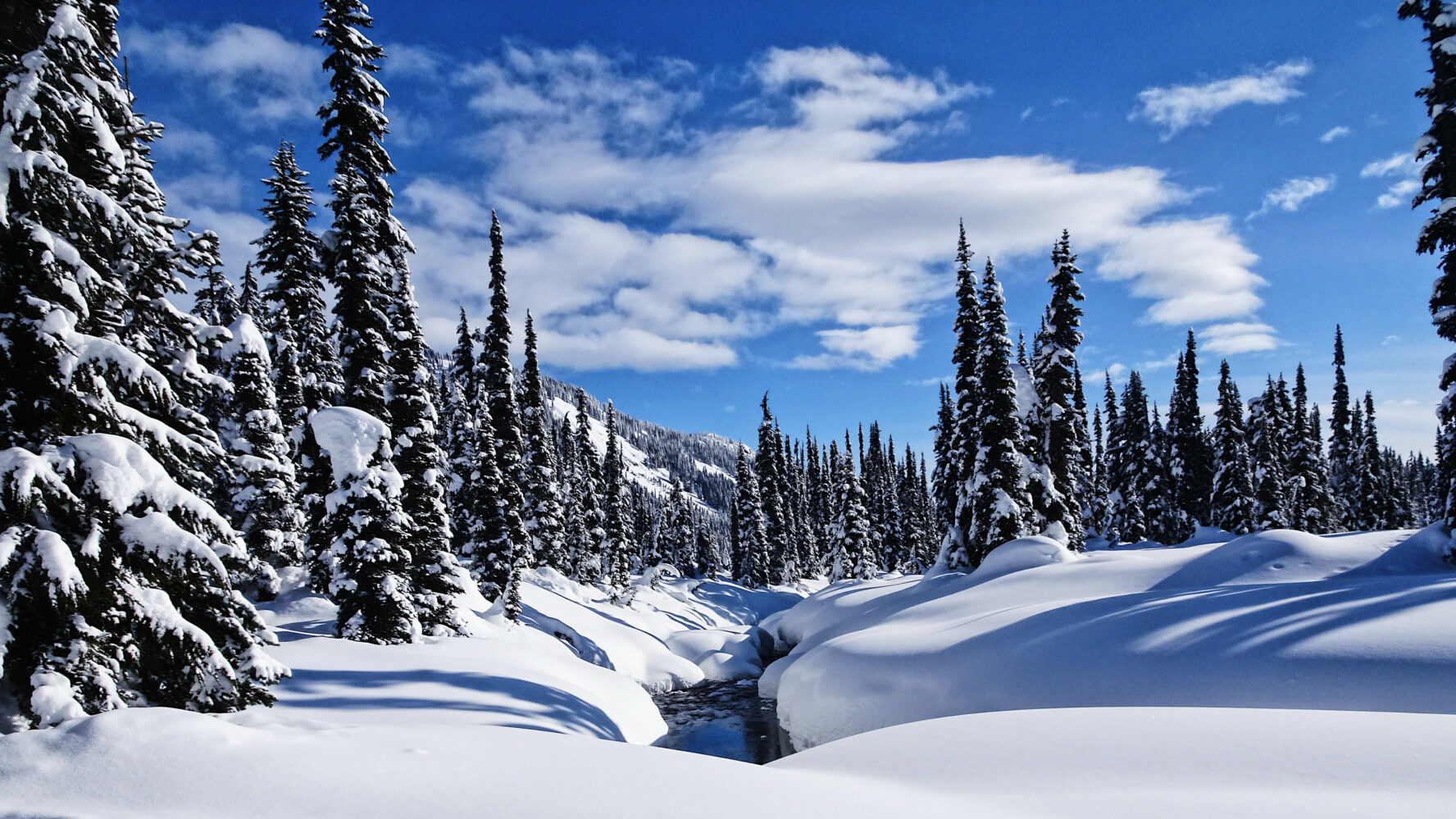 A peaceful creek near Journeyman Lodge, British Columbia.