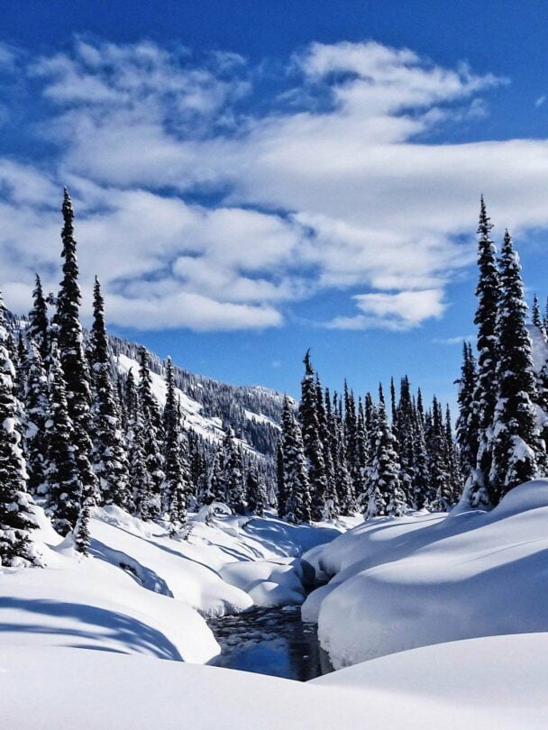 Backcountry Skiing at the Journeyman Lodge