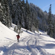 Washington backcountry skiing