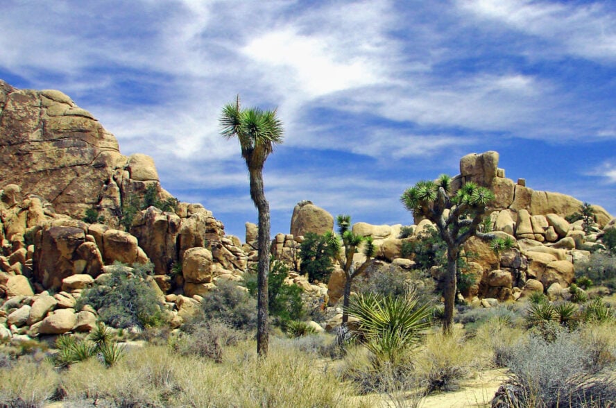 California rock climbing