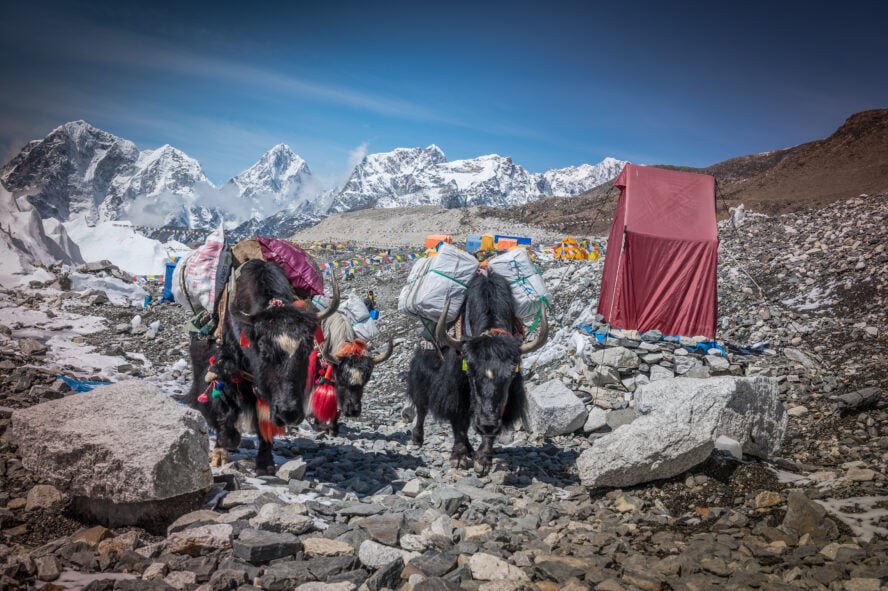 Mount Everest climbing