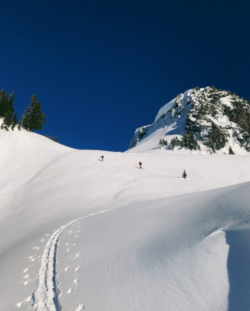 View of rolling snow-covered hills at mount baker with two backcountry skiers in the distance and one peak covered in conifers,