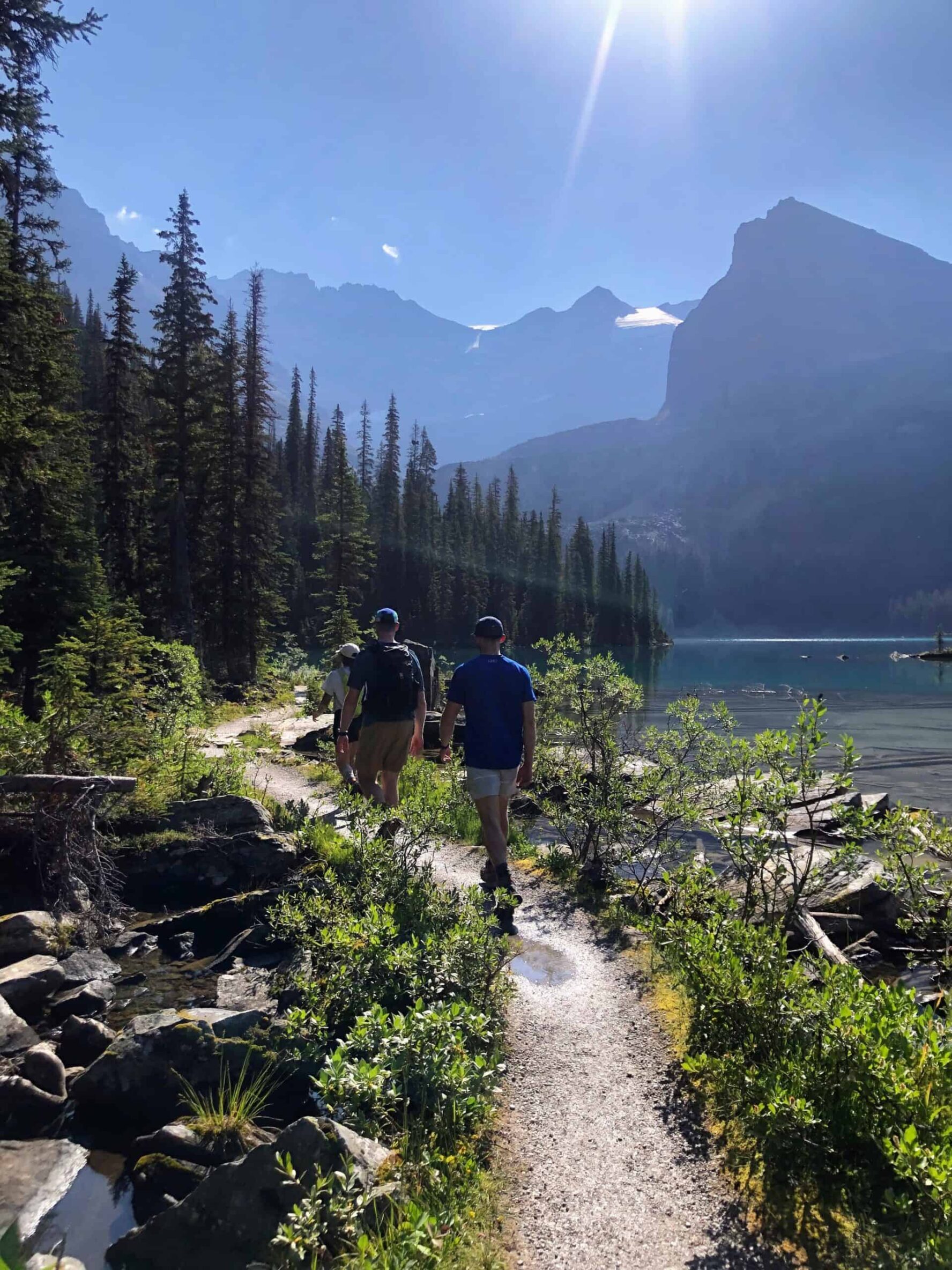 Hikers trail Lake O'Hara