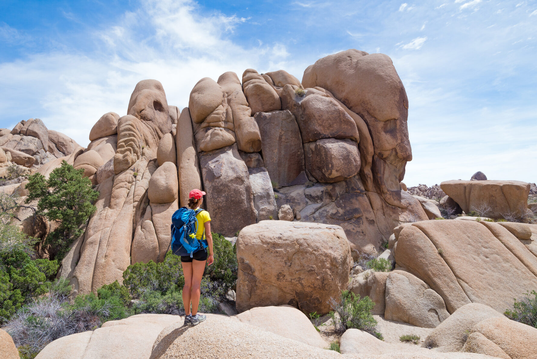 Day Hikes in Joshua Tree National Park