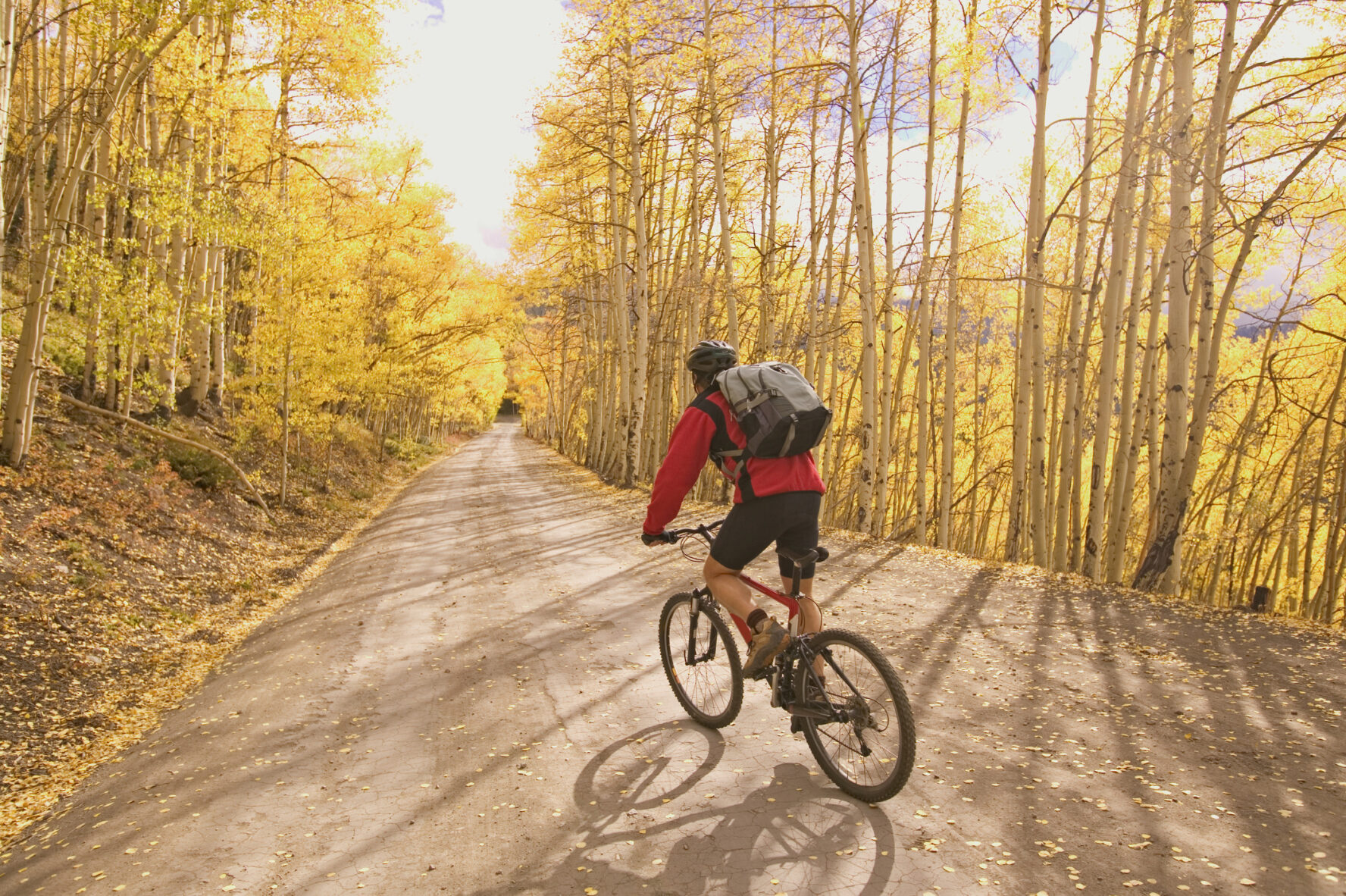 Aspen Mountain Biking