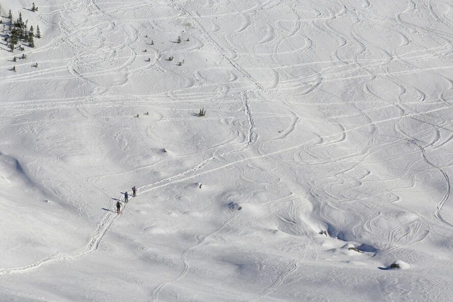 Mount Rainier Backcountry Skiing