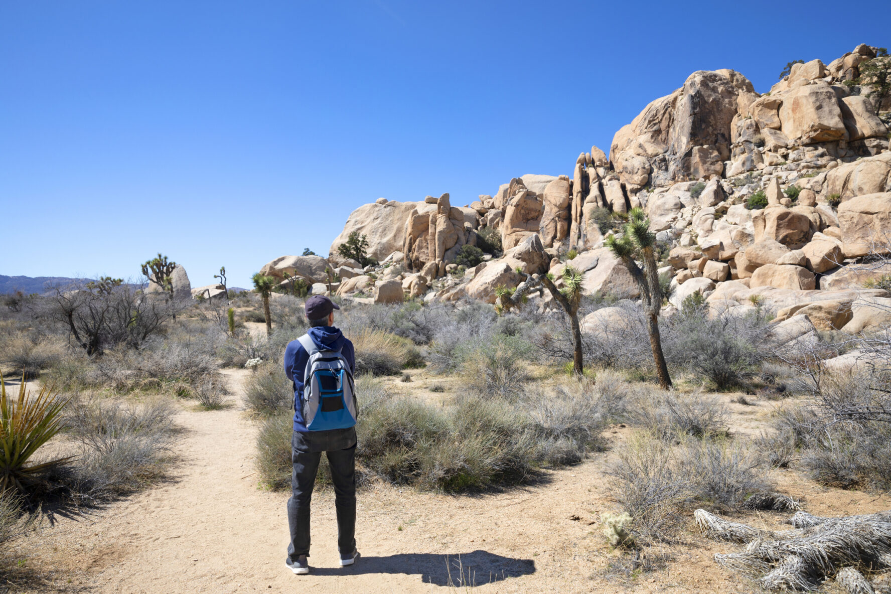 Hiker looking at rock formations in Joshua Tree National Park