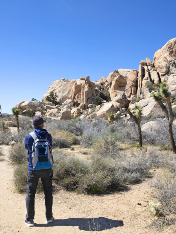 Day Hikes in Joshua Tree National Park