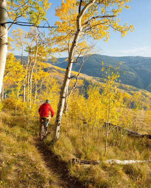 Mountain Biking Tours in Aspen, Colorado | 57hours