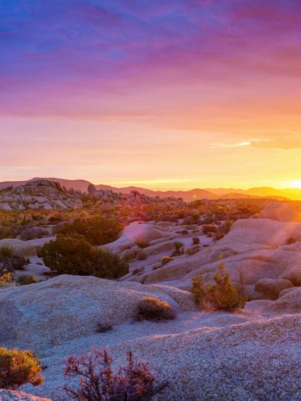 Day Hikes in Joshua Tree National Park