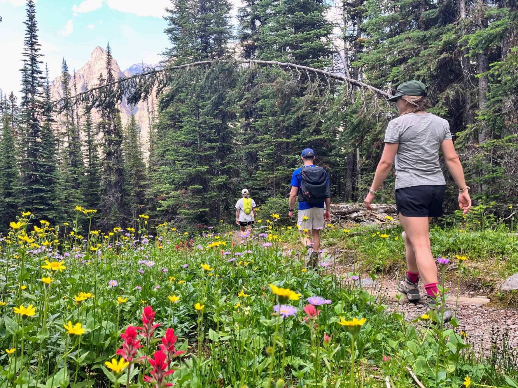 Lake O'Hara wilderness