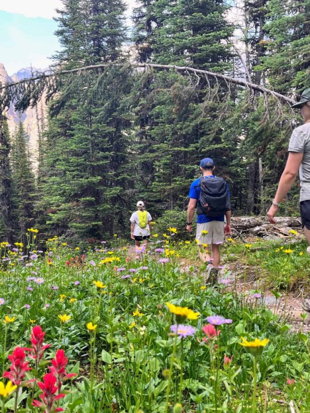 Lake O'Hara hiker hiking trip