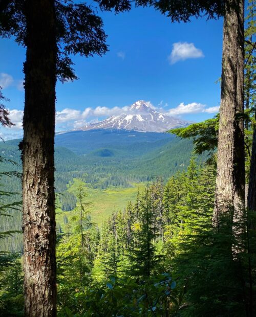 Pacific crest on sale trail mt hood