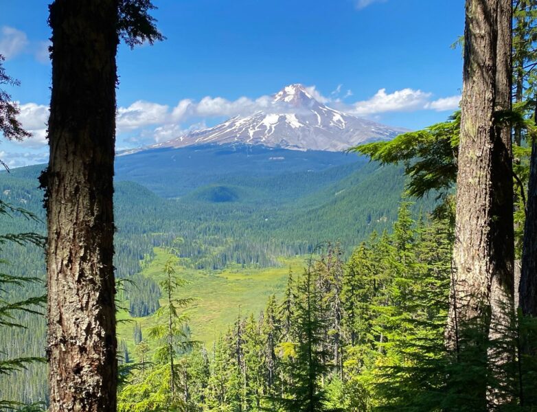 Pacific Crest Trail Oregon Hiking And Backpacking Tour 57hours