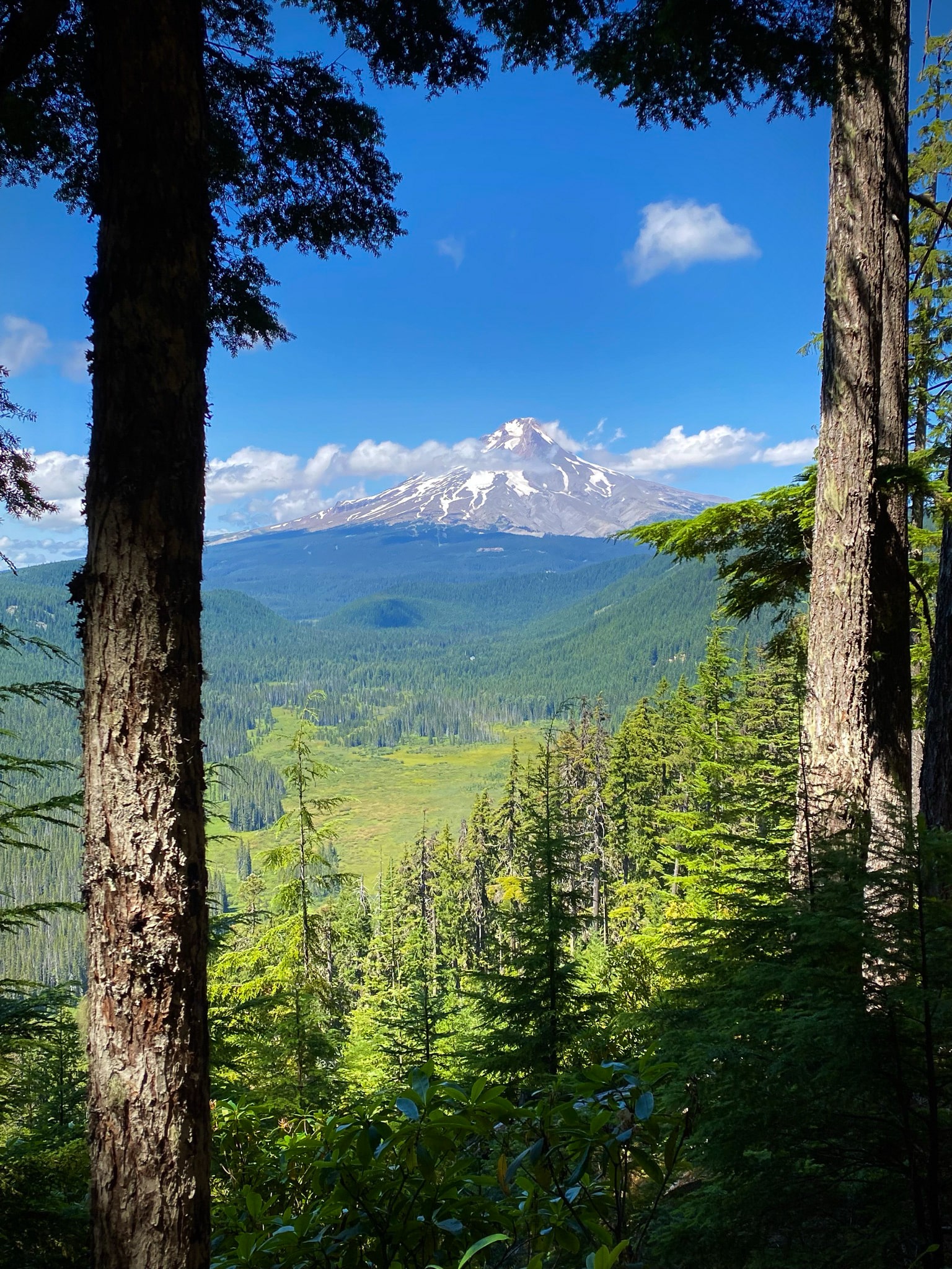 A mountain vista along the Pacific Crest Trail.