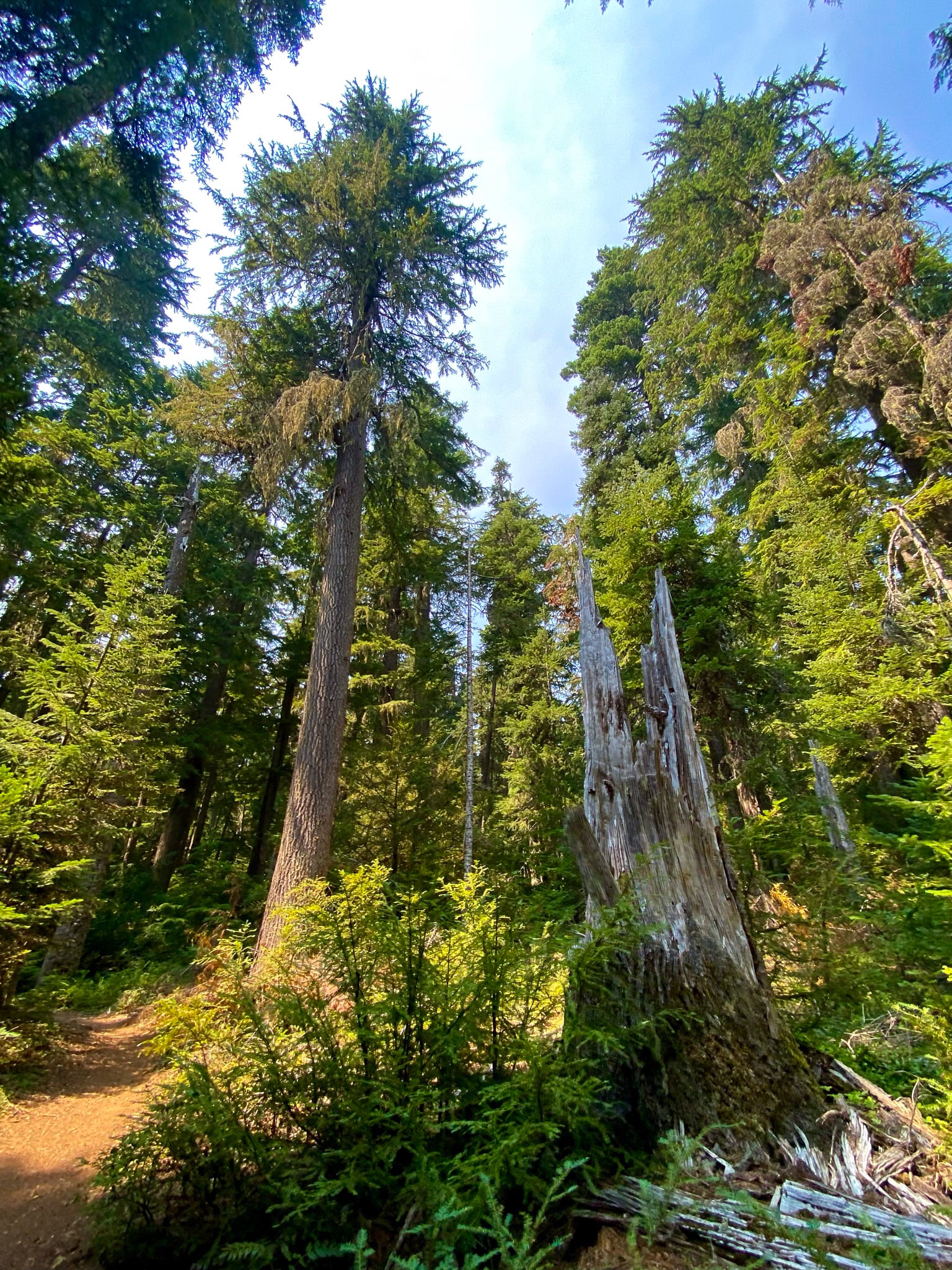 backpacking trips close to portland