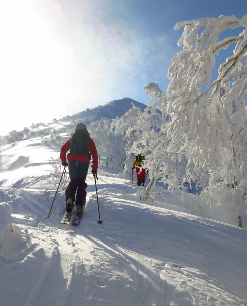 Mount Tokachi backcountry skiing