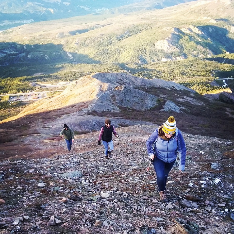 Denali walking clearance tour