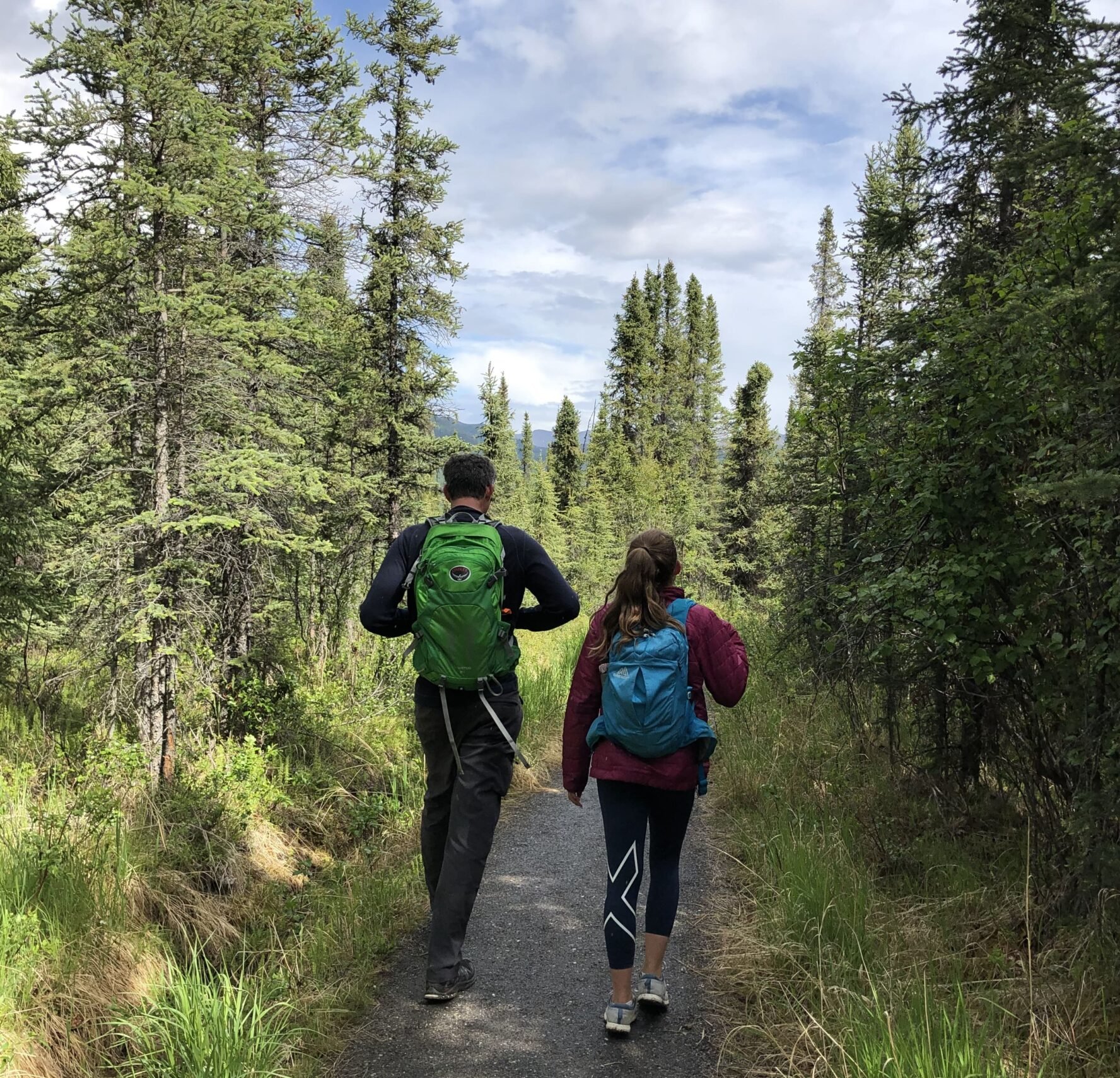 People hiking Denali National Park