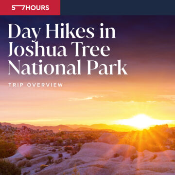 joshua tree guided backpacking trips