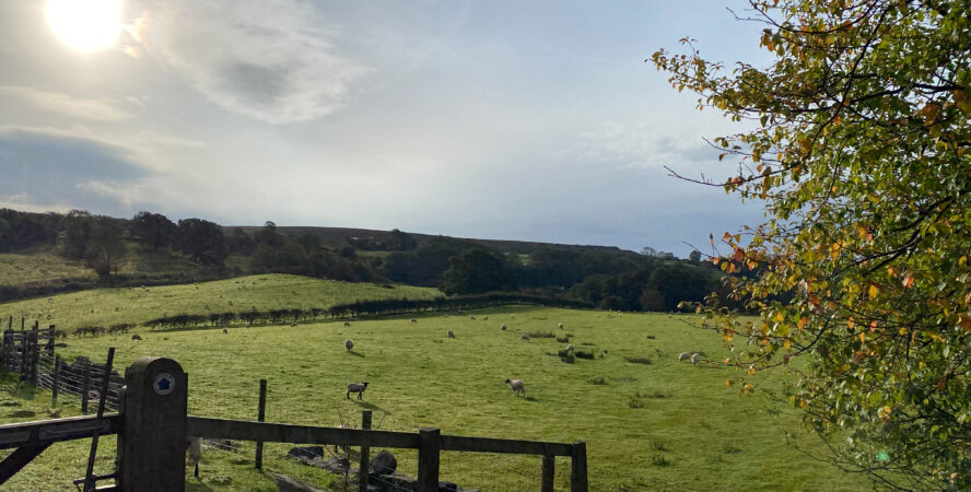 north york moors walks