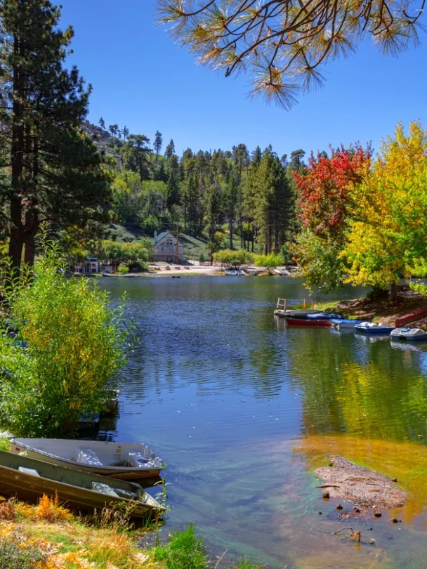 Mountain biking snow summit bike park