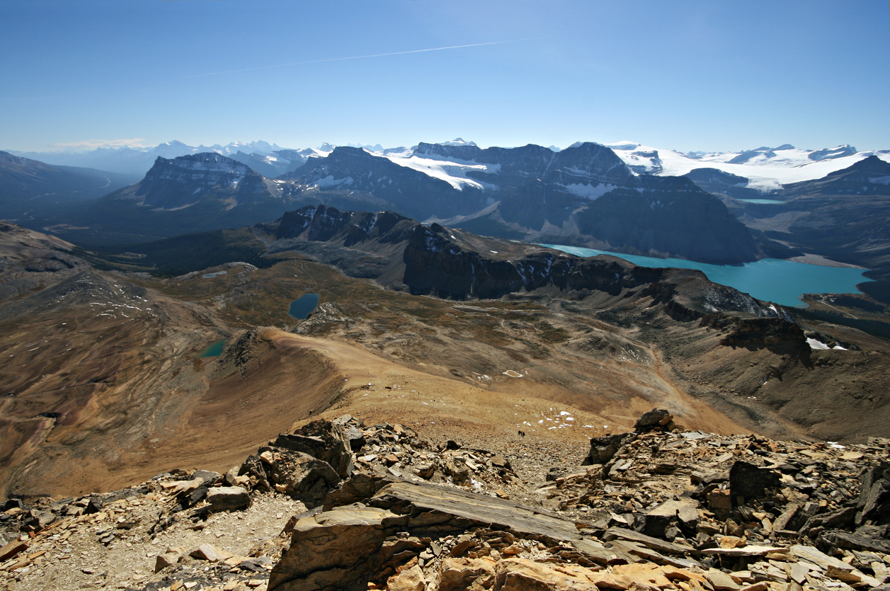 Bow Lake, Helen Lake, and Wapta Icefield.