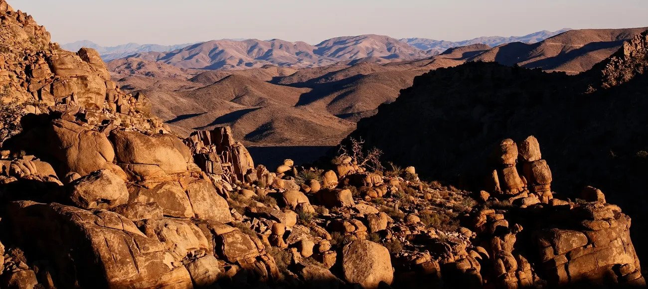 Desert landscape of Joshua Tree