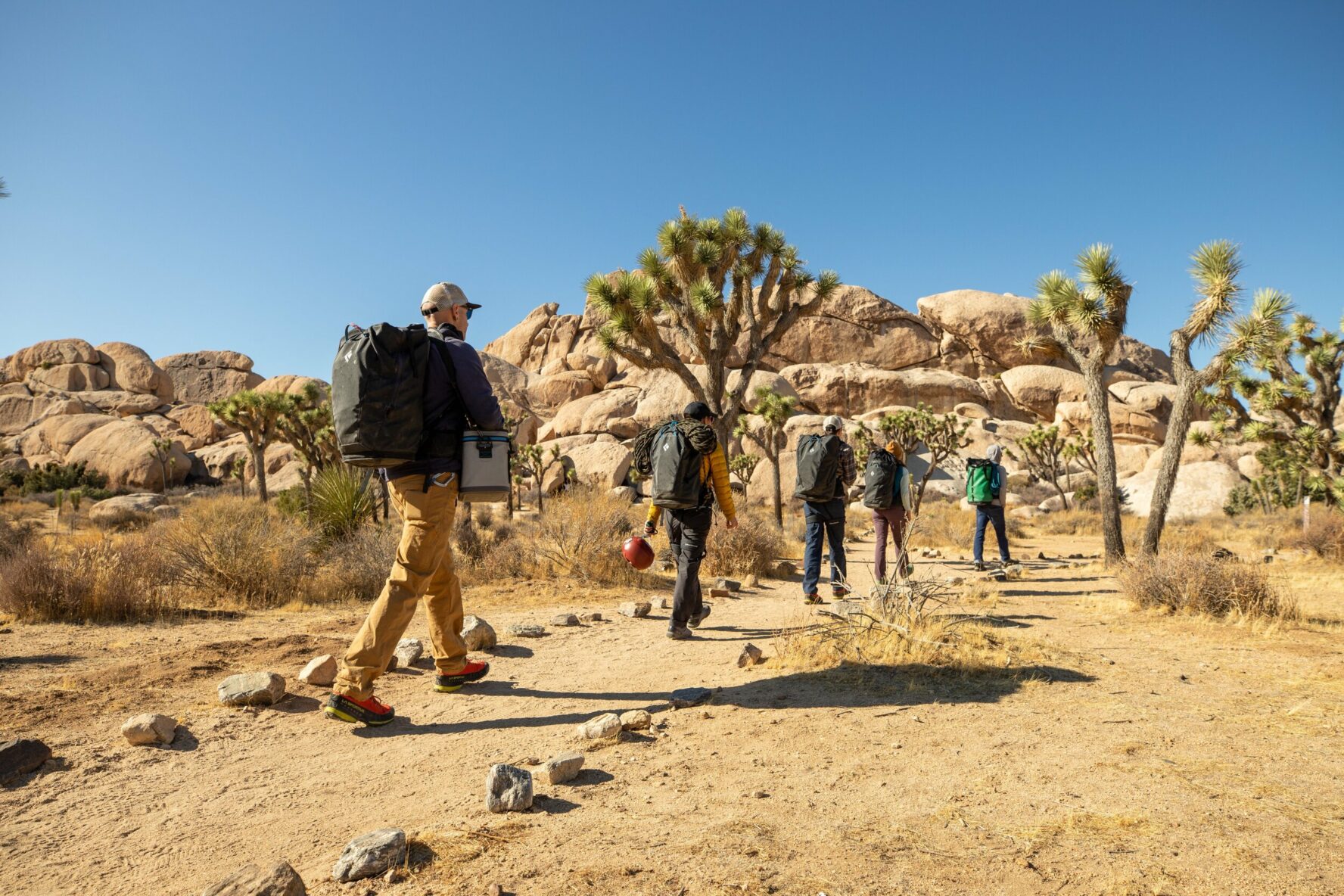 Group of hikers walking in Joshua Tree NP