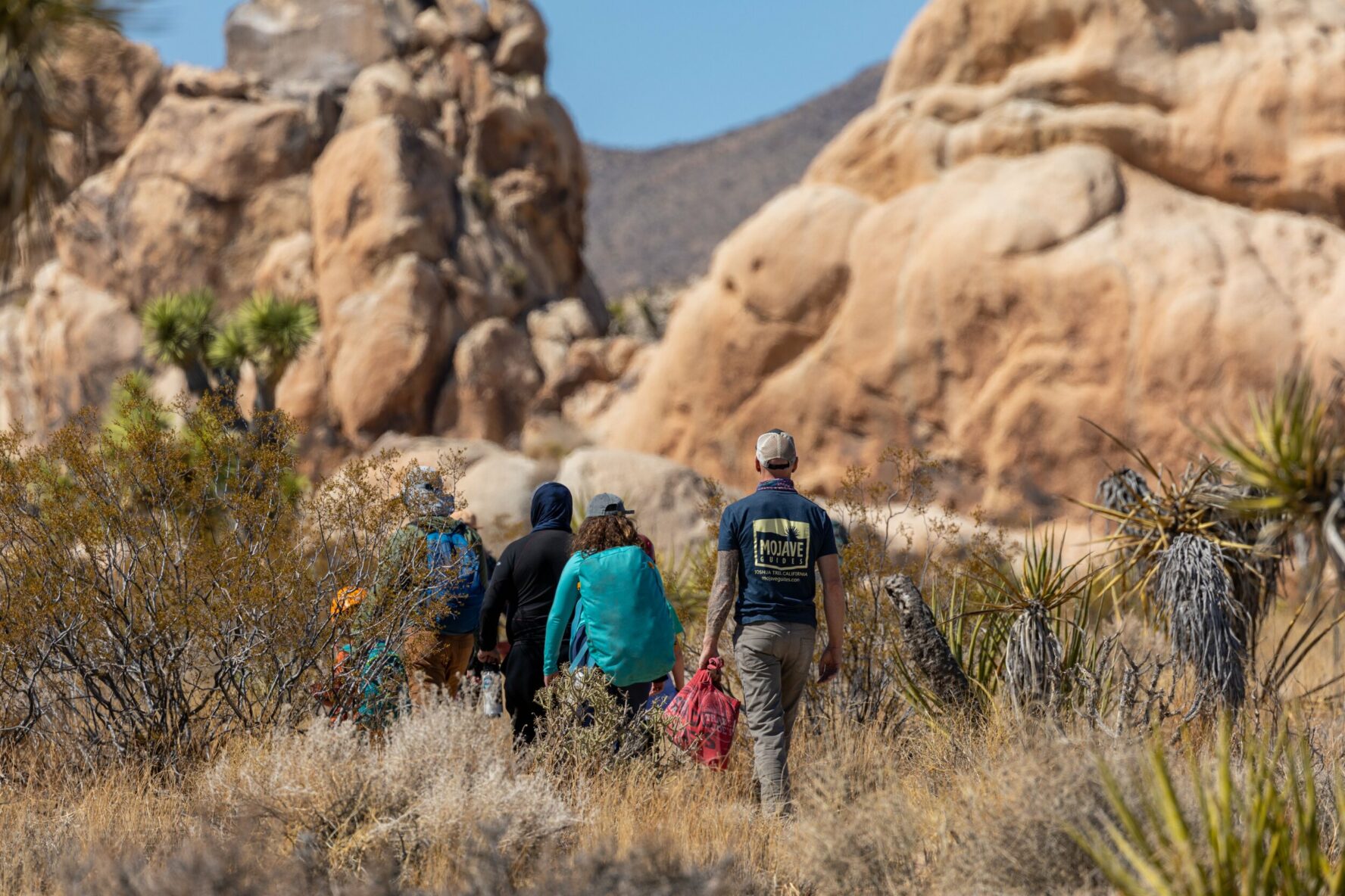 Hikers walking in Joshua Tree